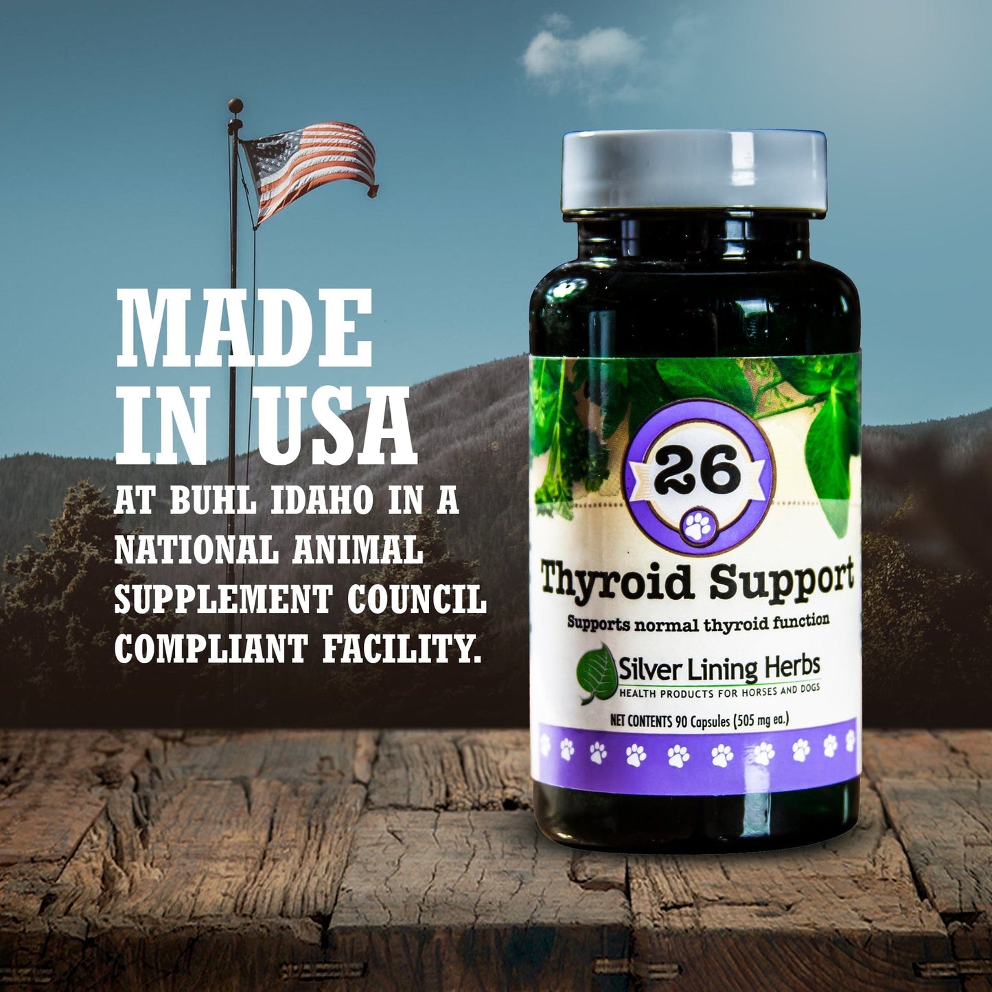 Thyroid Support for Canines