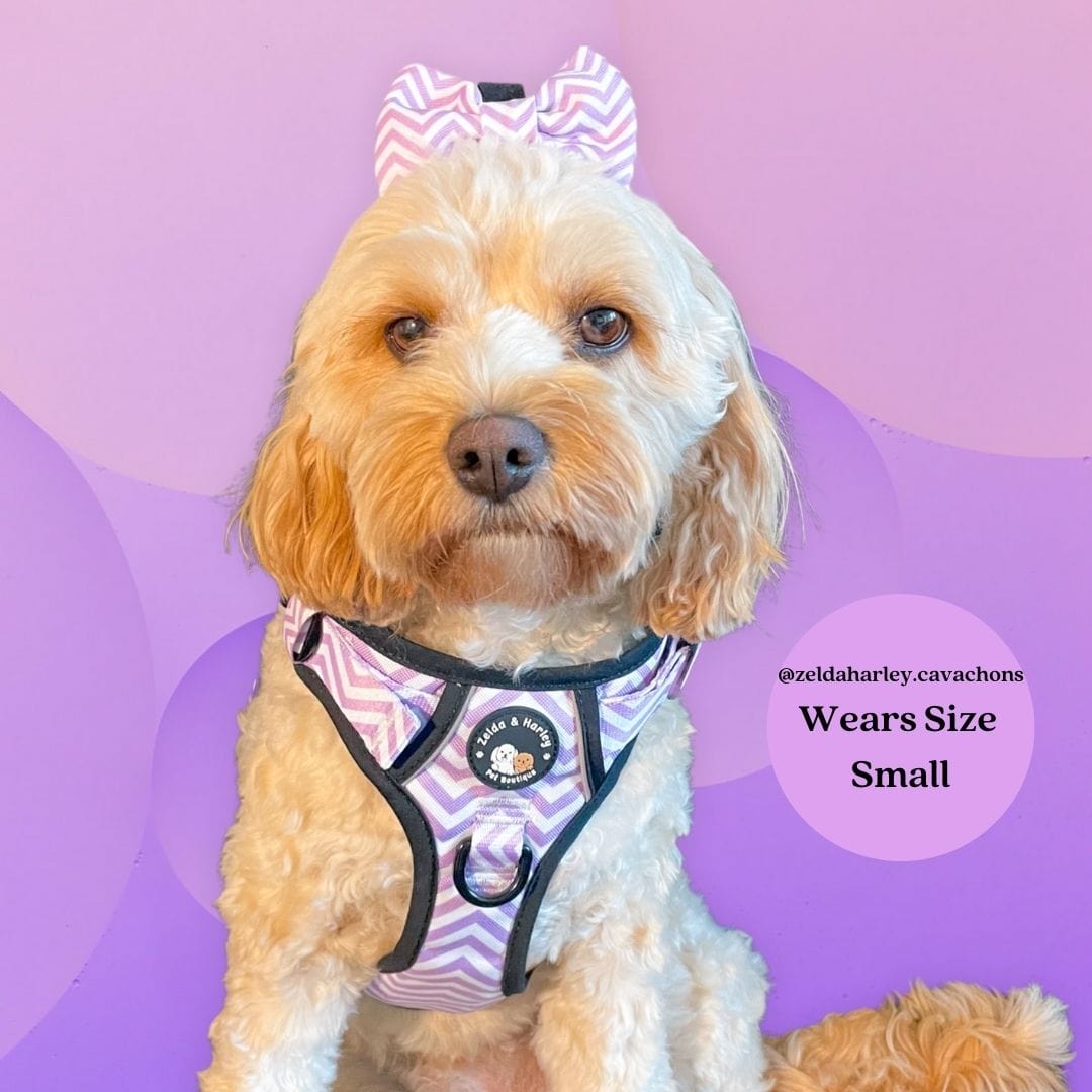 Zig Zag Wag Pastel Purple - Adventure No Pull Harness