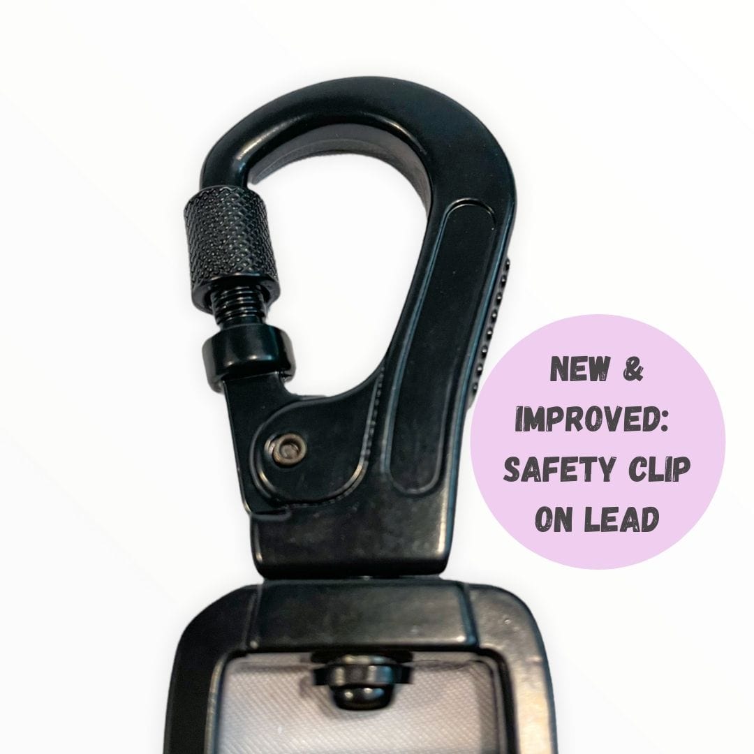 Zig Zag Wag Leash - Pastel Pink