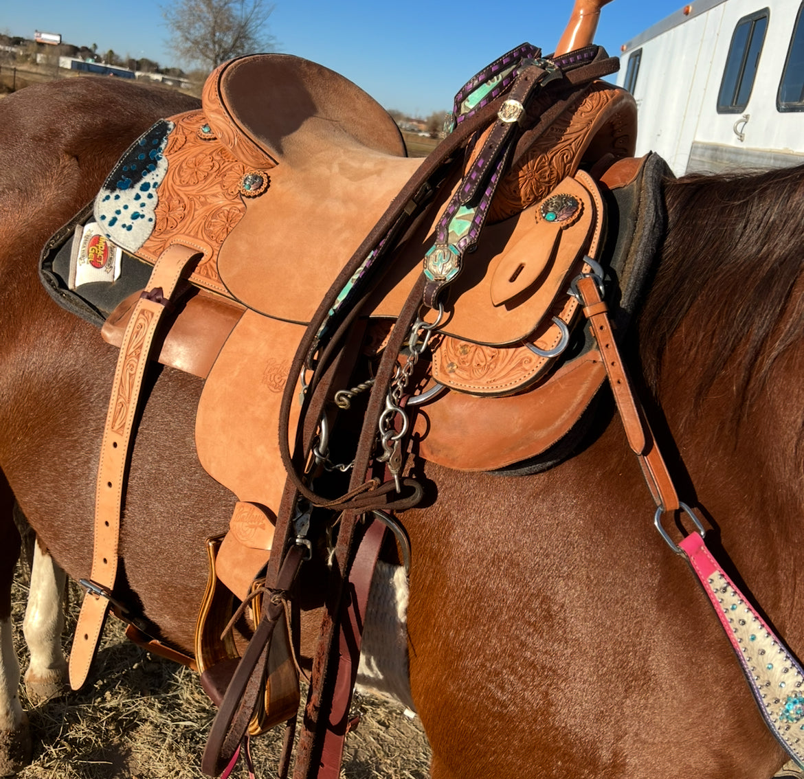 Horse Tack & Supplies