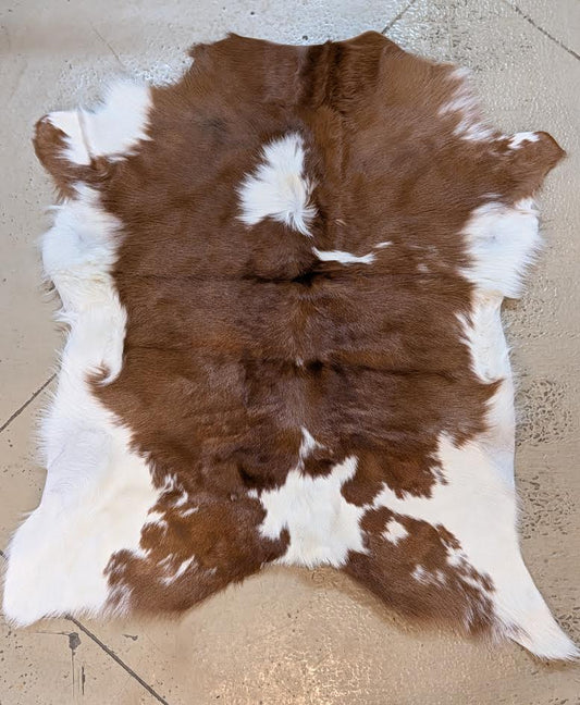 Calf Hide "Winger"