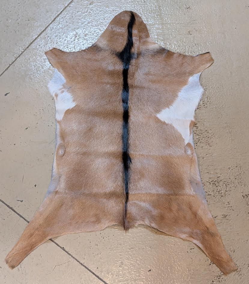 Goat Hide "Swirls"