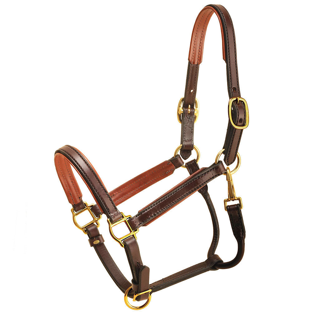 3/4" Tory Horse Leather Padded Halter Rolled Snap Throat Fixed Havana Oakbark