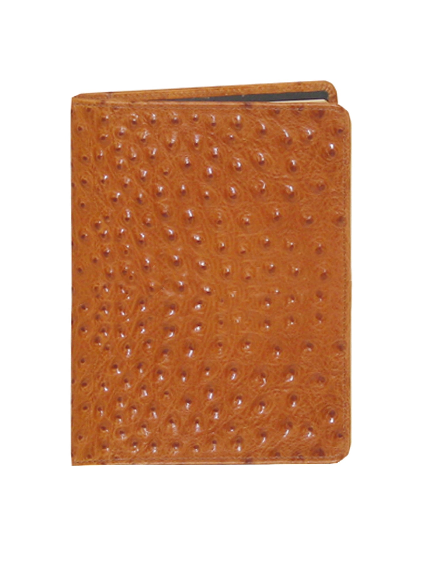 Blank Manuscript - 1046B