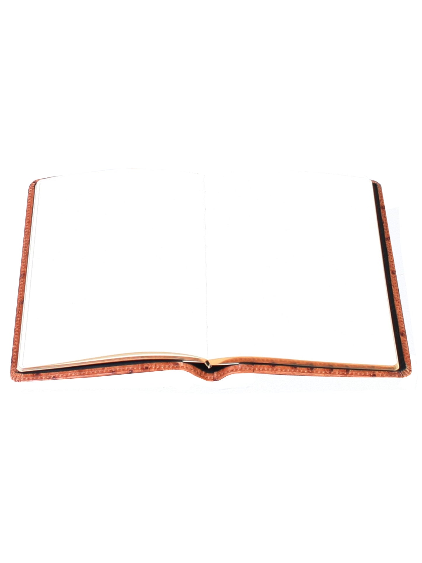 Blank Manuscript - 1046B