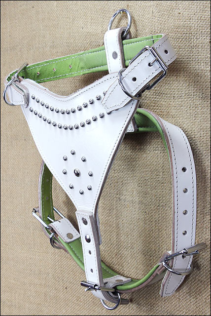 Large Leather Dog Harness Padded Genuine White Hilason