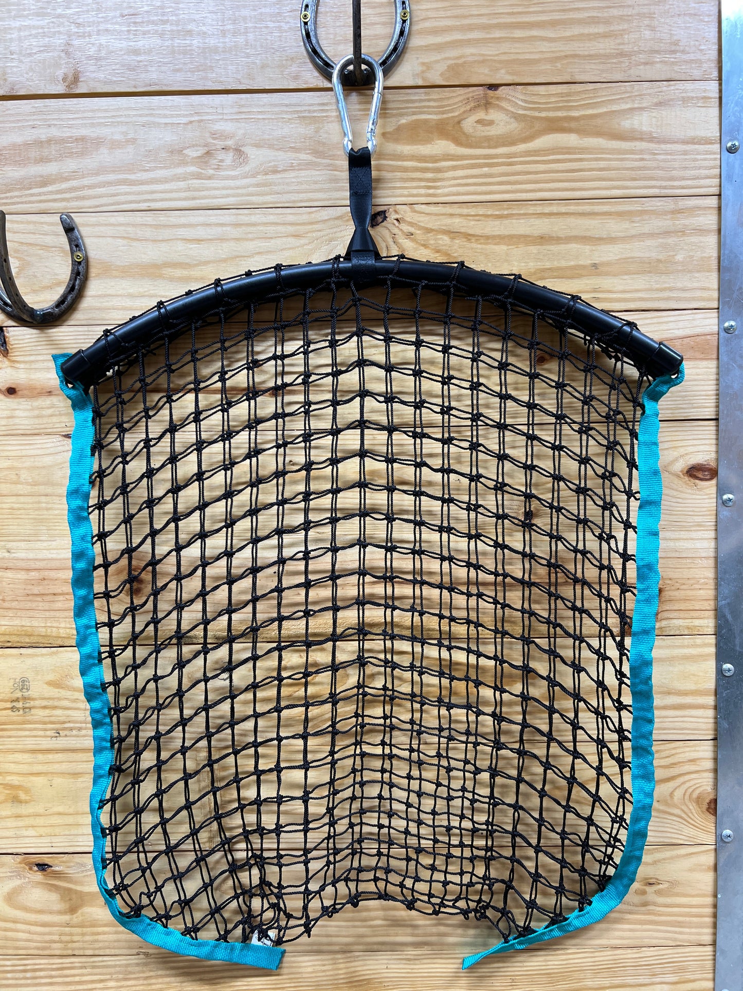 Regular Haynet