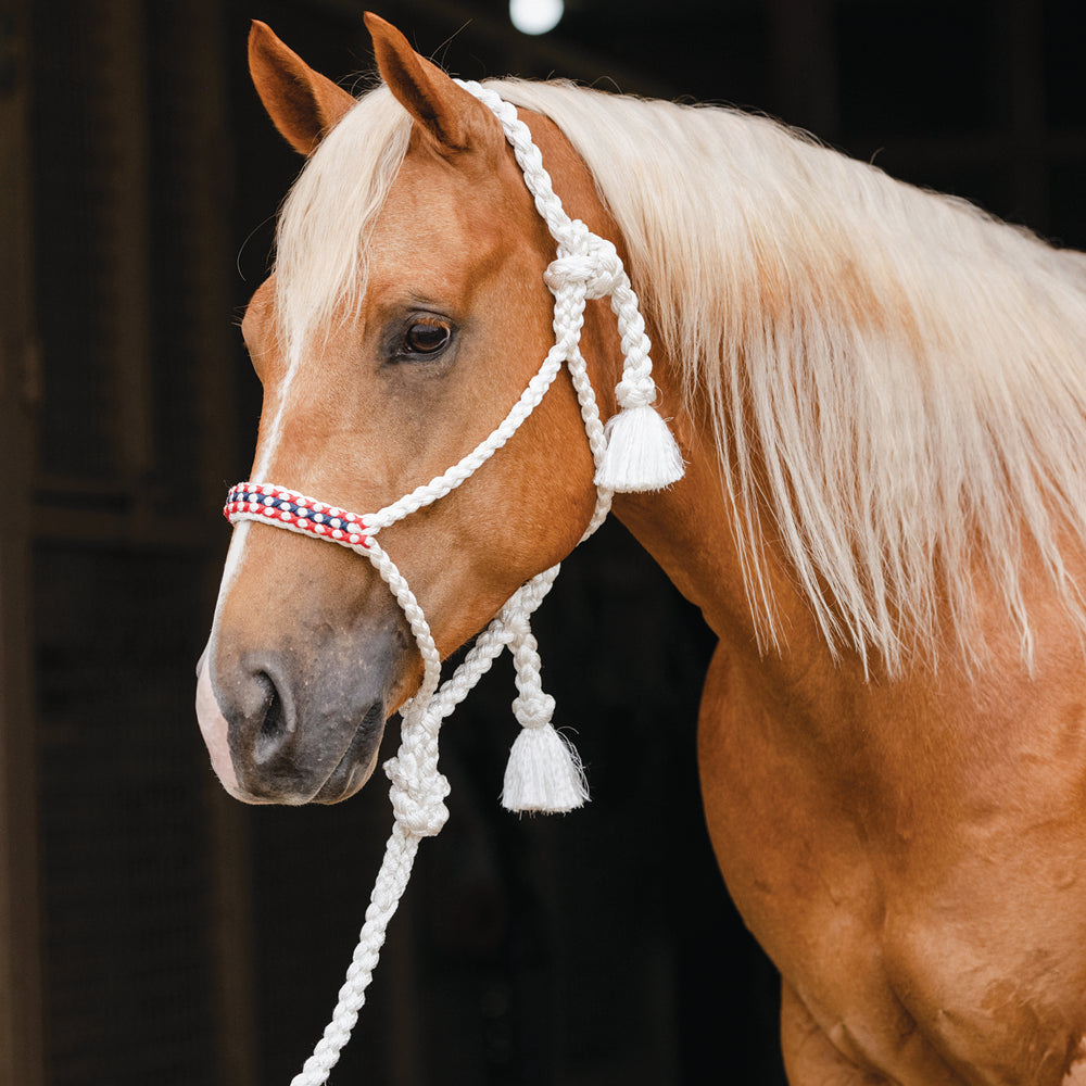 Professional's Choice Horse Cowboy Braided Woven Halter