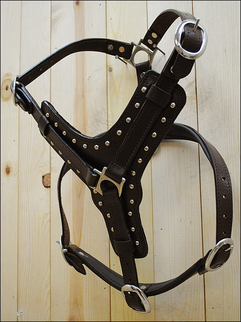 Large Leather Dog Harness Brown Genuine With Leash Hilason