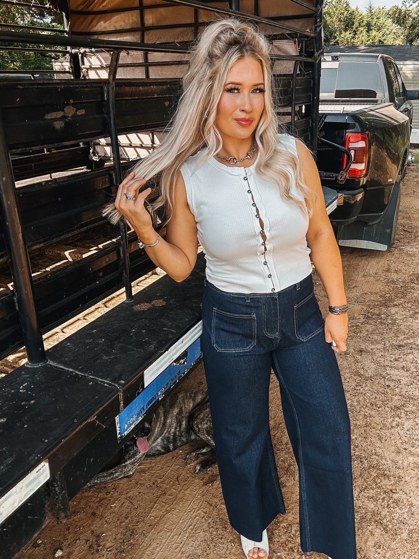 The Shannon Top