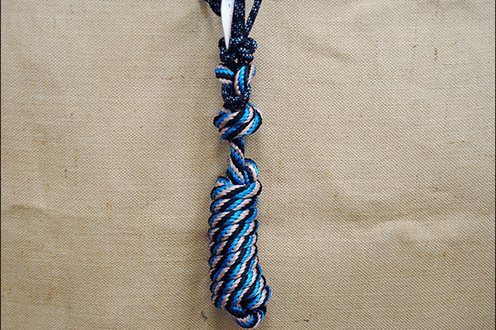 Professional Choice Western Horse tack supplies Nylon Halter Rope/10Ft Lead