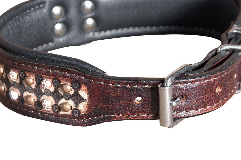 Hilason Heavy Duty Handmade Genuine Leather Dog Collar Brown with rivets