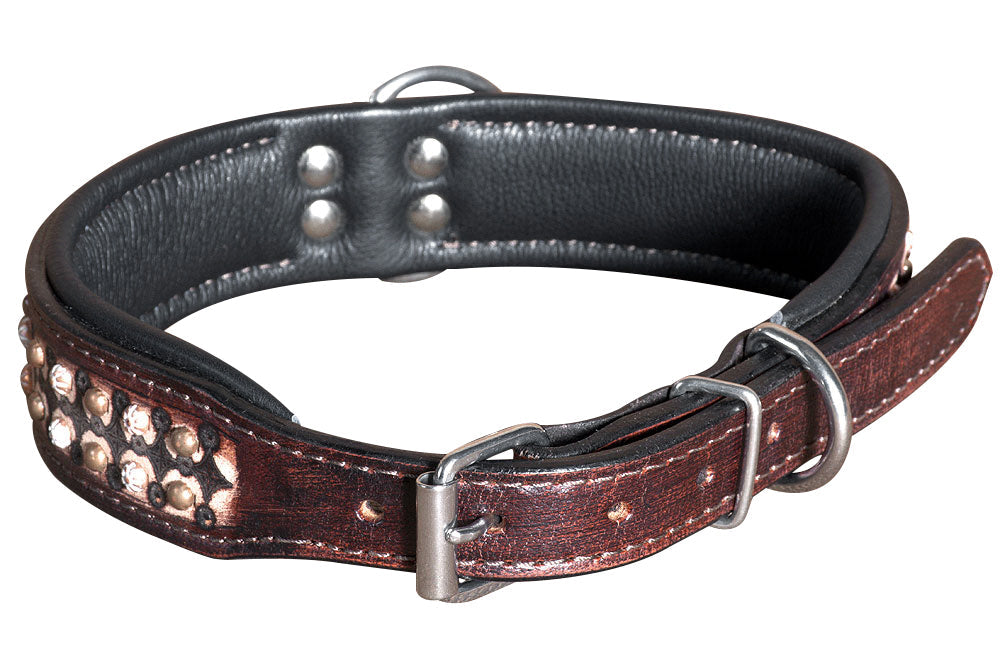 Hilason Heavy Duty Handmade Genuine Leather Dog Collar Brown with rivets
