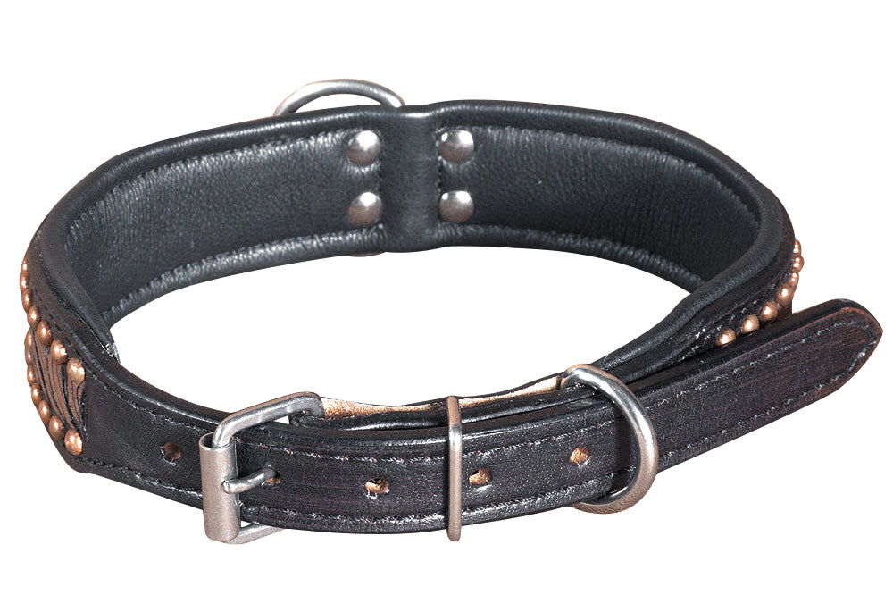 Hilason Heavy Duty Handmade Genuine Leather Dog Collar Black with rivets