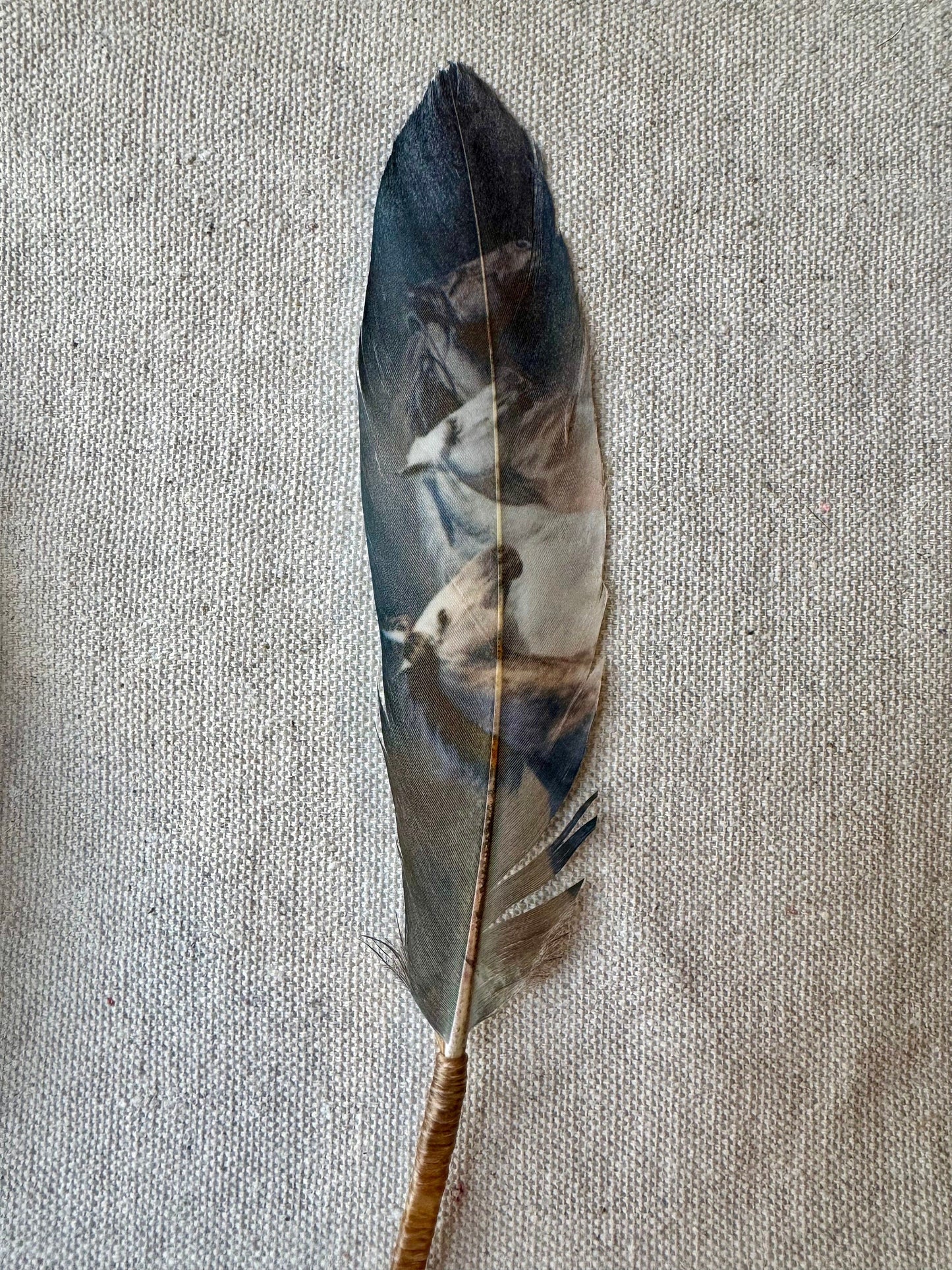 Dark Wild Horses Western Hat Feather