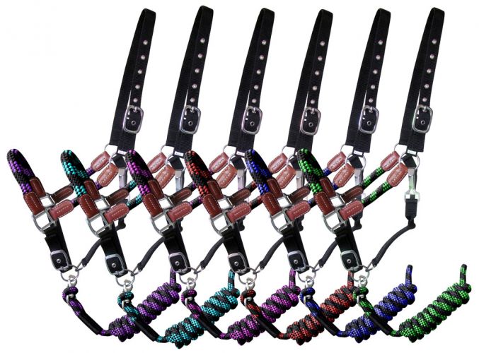 16647 - Nylon halter and matching lead rope with leather accents (ASSORTED COLORS)