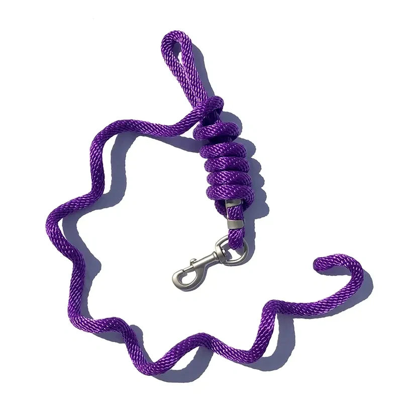 5/8" x 9' Poly Lead Rope, Nickel Plated Bolt Snap, Solid Colors