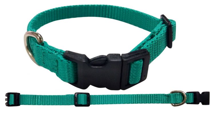 Nylon Dog Collar with Snap Buckle