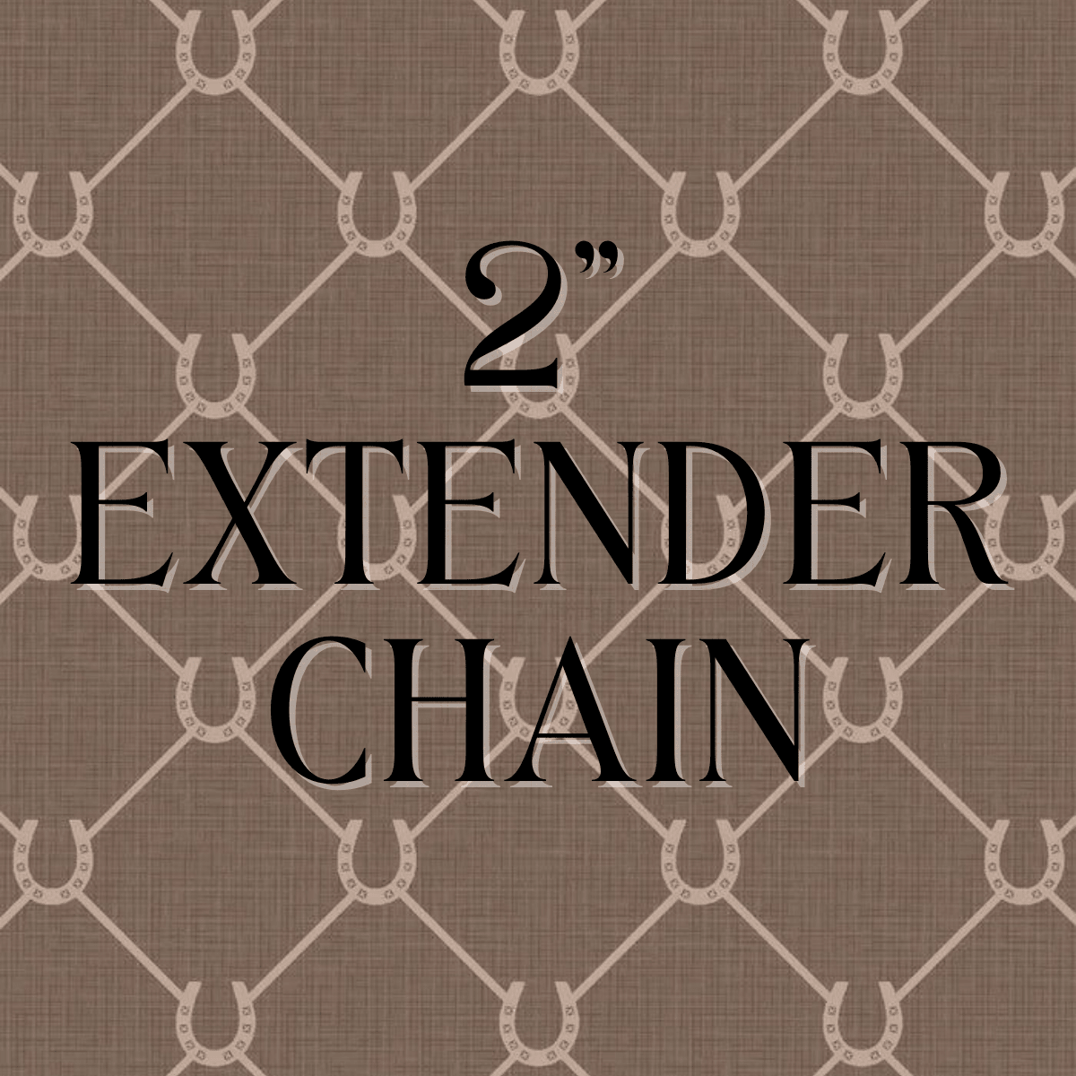2” Extender Chain Add On