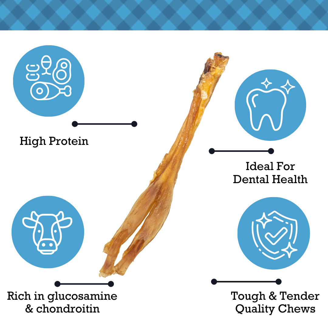 All-Natural Beef Y Tendon Dog Treats – High-Protein, Low-Fat Chews – Jumbo (10-Pack)