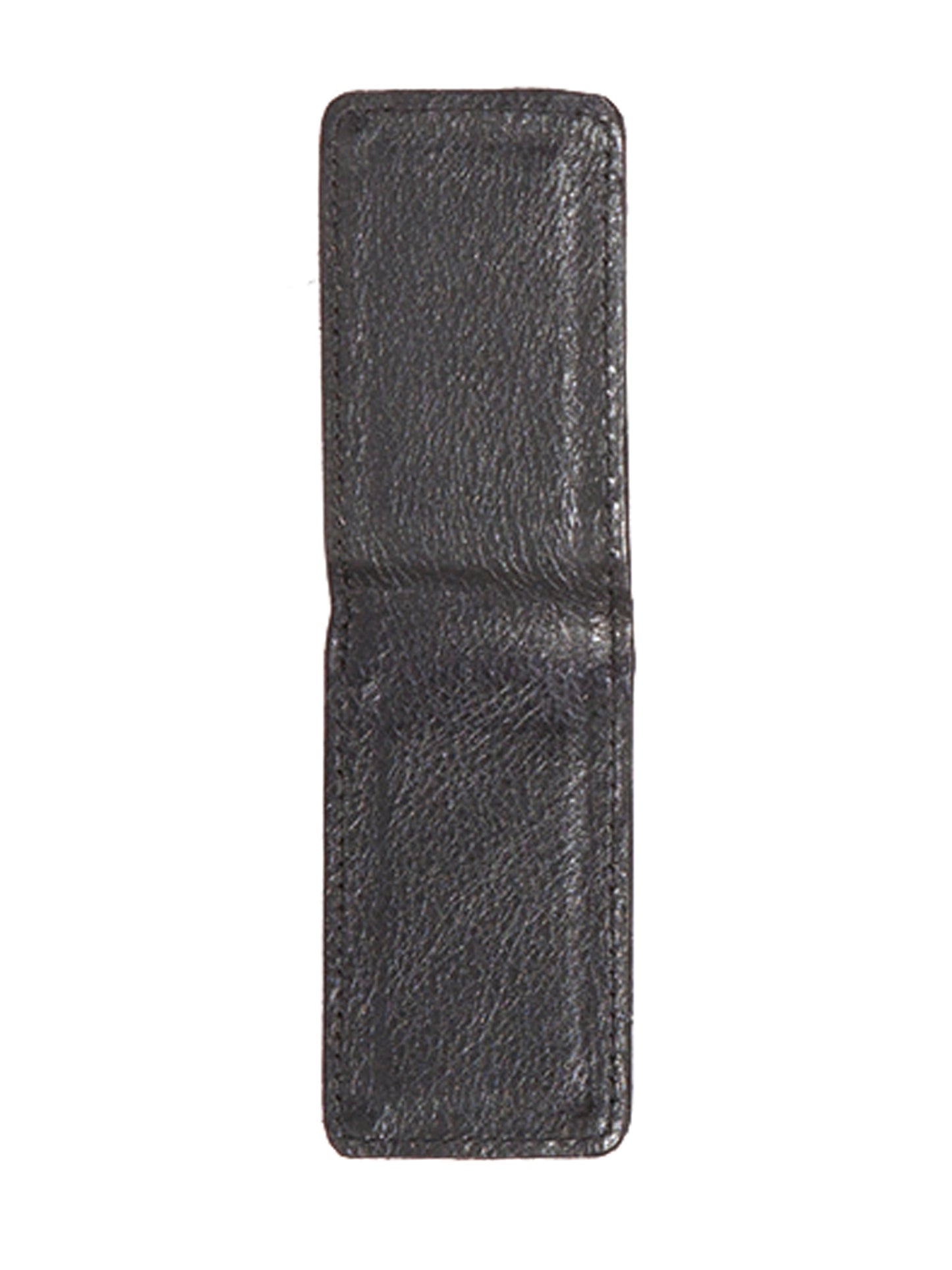 Magnet Money Clip - 2009