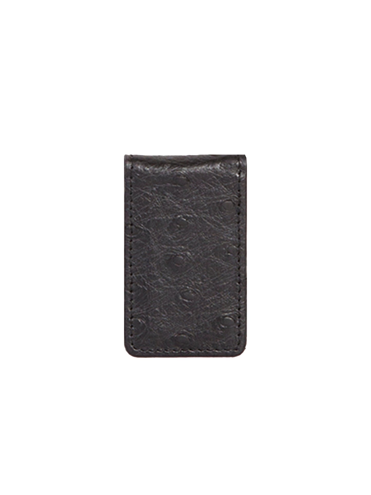 Magnet Money Clip - 2009