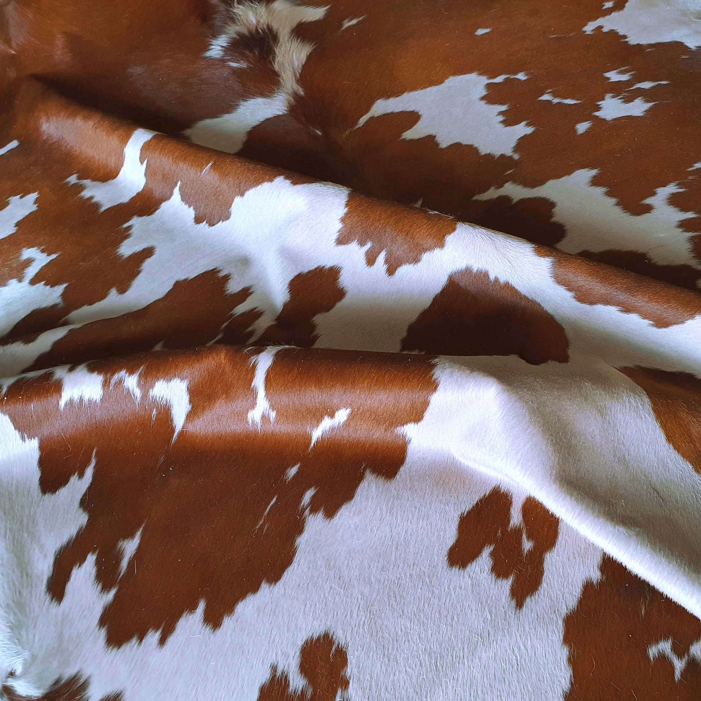 Brown and White Brazilian Cowhide Rug: XXL