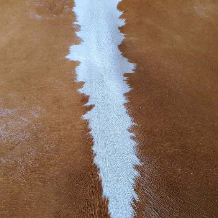 Hereford Brazilian Cowhide Rug: LARGE