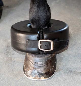 LAMI-CELL NYL SHOE BOIL RING BOOT