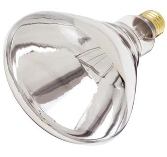 HEAT LAMP CLEAR 250 WT