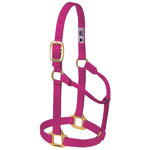 Original Non-Adjustable Halter 1" -  hot pink
