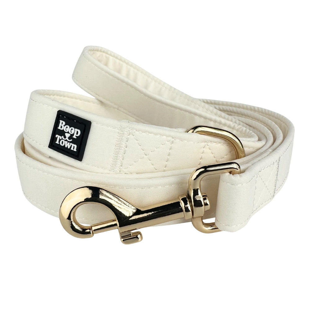 Dog Leashes