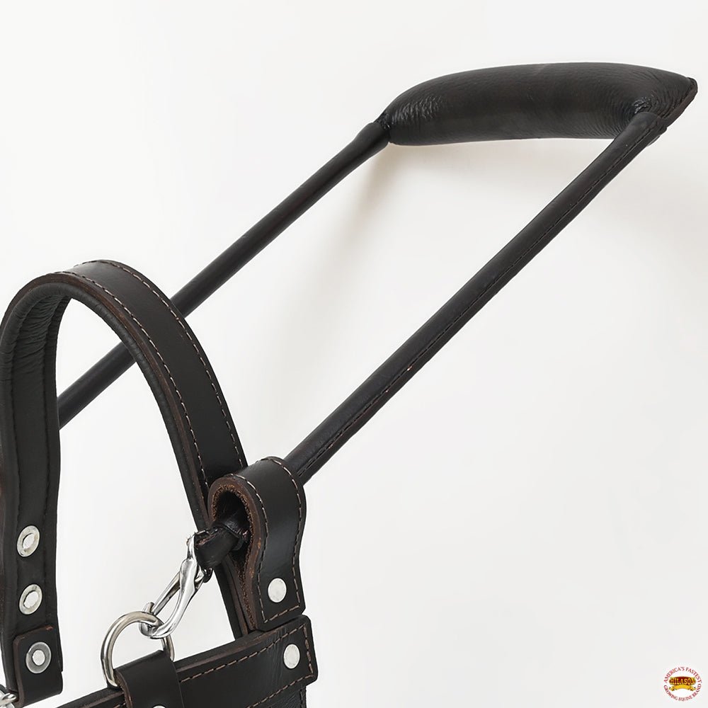 HILASON Guide Dog Harness Brown Padded Genuine Leather with Handle Brown | Dog Harness with Adjustable Straps | Dog Harness with Handle for Training | Breathable Dog Harness | Therapy Dog Harness