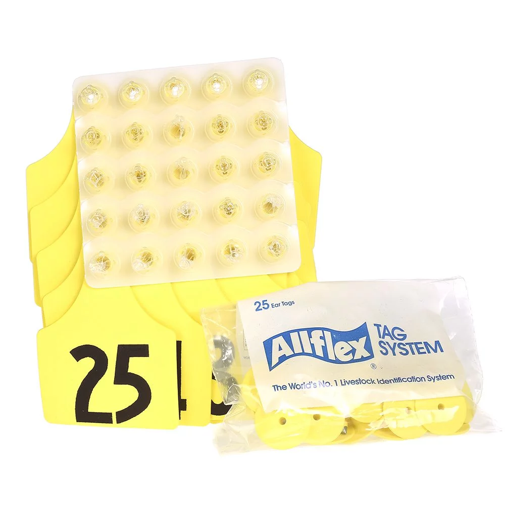 ALLFLEX: LARGE - FEM/SM - PURPLE - 26-50