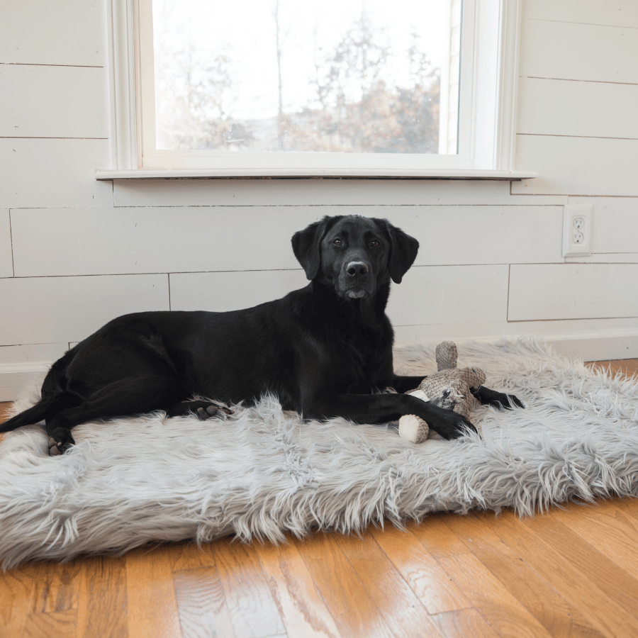 PupRug by Paw.com® Faux Fur Orthopedic Dog Bed - Rectangle Grey