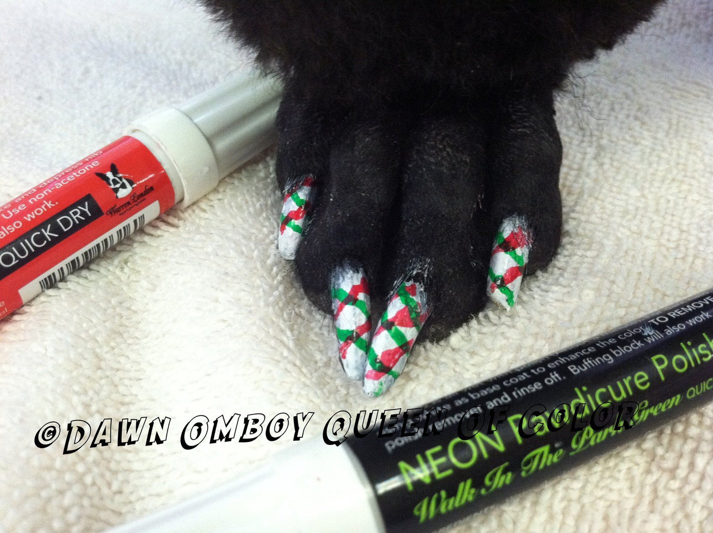 Polish Pen Bundle - Christmas