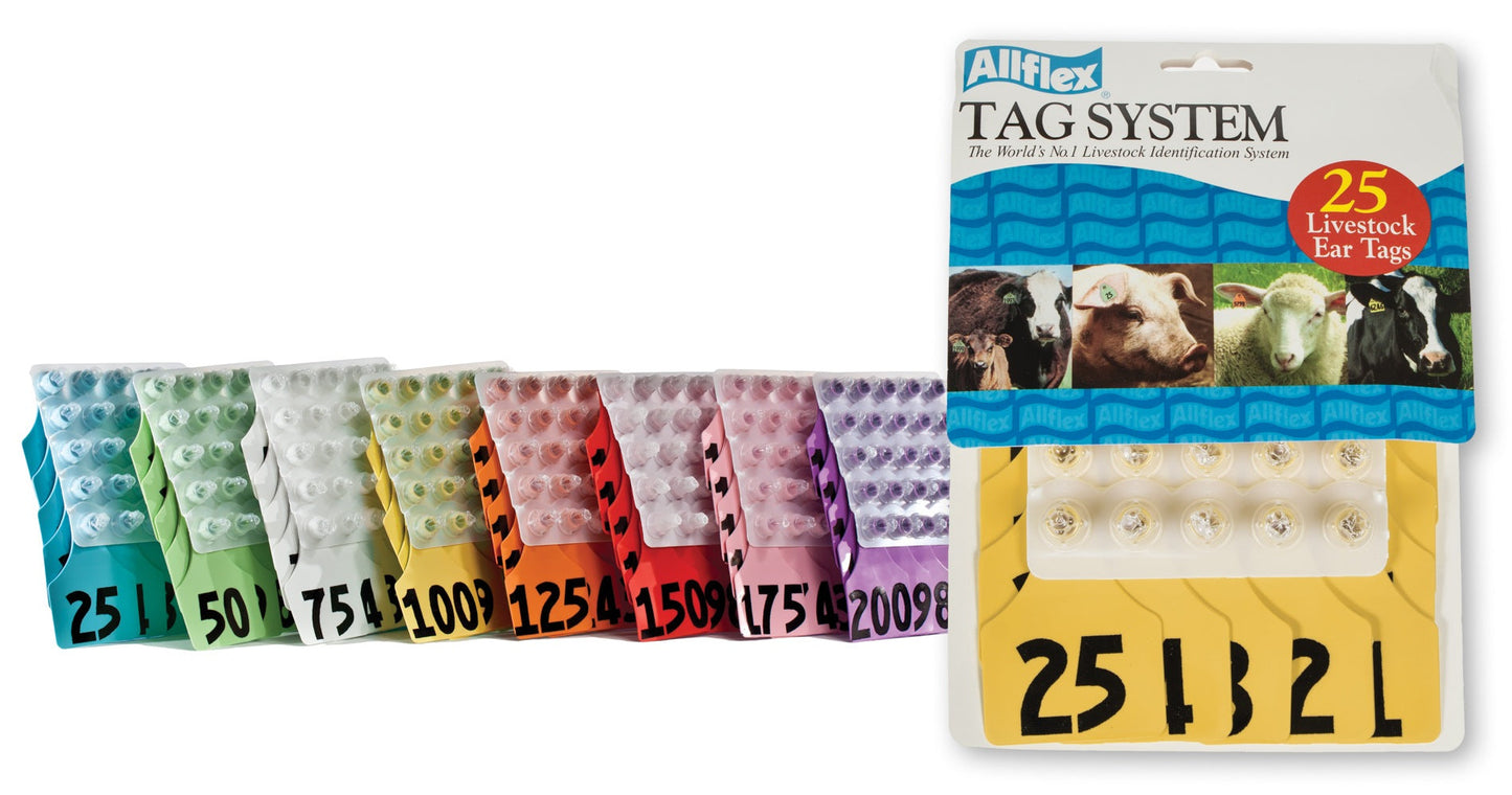 ALLFLEX: LARGE - FEM/SM - GREEN - 51-75