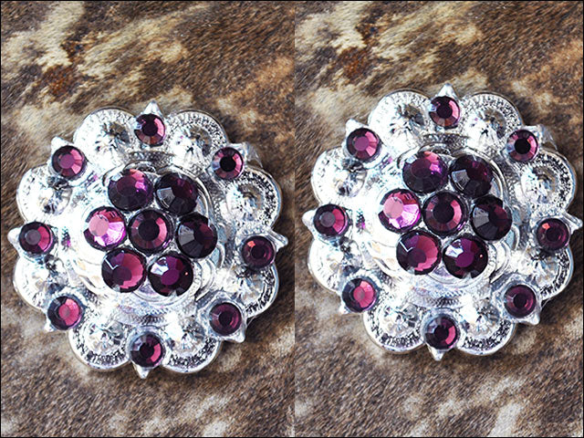 1 Amethyst Crystal Berry Headstall Saddle Tack Bling Cowgirl Hilason