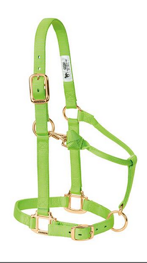 Original Adjustable Chin and Throat Snap Halter,  3/4" Weanling/Pony