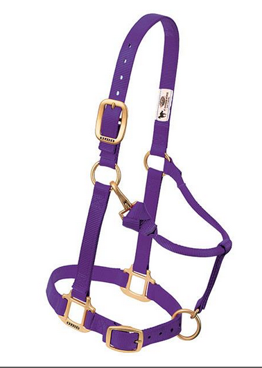 Original Adjustable Chin and Throat Snap Halter,  3/4" Weanling/Pony