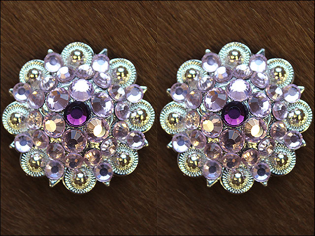 1.5 Inch Amythyst Rose Crystals Berry Silver Bling Saddle Cowgirl Hilason