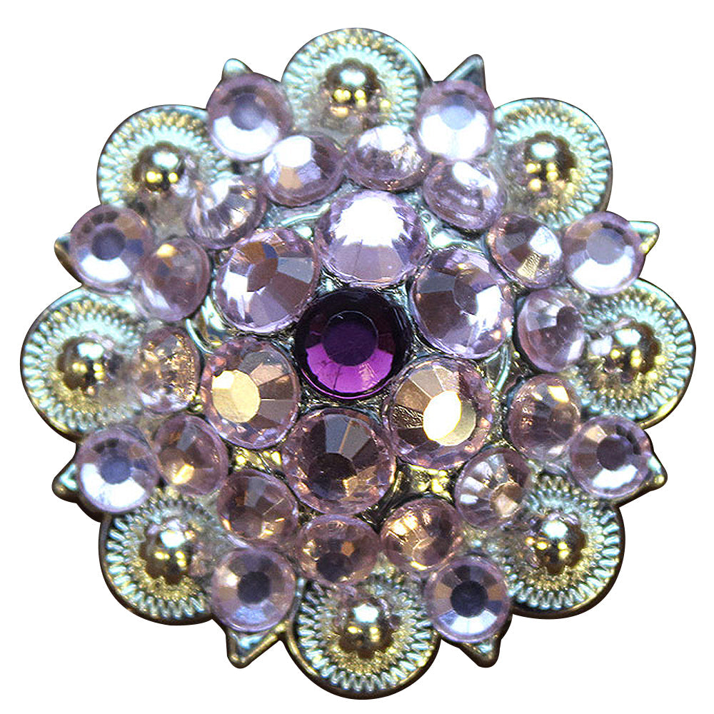 1.5 Inch Amythyst Rose Crystals Berry Silver Bling Saddle Cowgirl Hilason