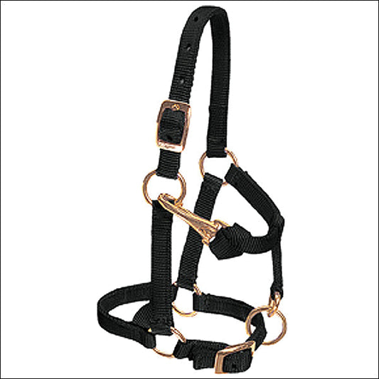 Weaver Black Nylon Miniature Horse Adjustable Chin And Throat Snap Halter