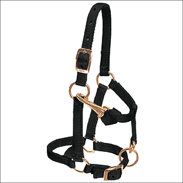 Weaver Black Nylon Miniature Horse Adjustable Chin And Throat Snap Halter