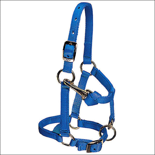 Weaver Blue Nylon Miniature Horse Adjustable Chin And Throat Snap Halter Average