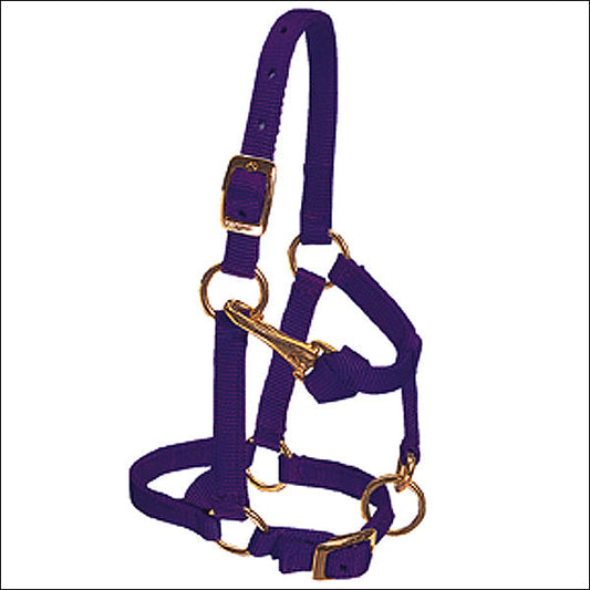 Weaver Purple Large Nylon Miniature Horse Adjustable Chin & Throat Snap Halter