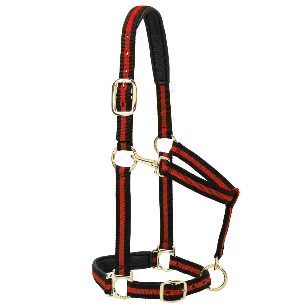 CHIN AND THROAT HALTER
