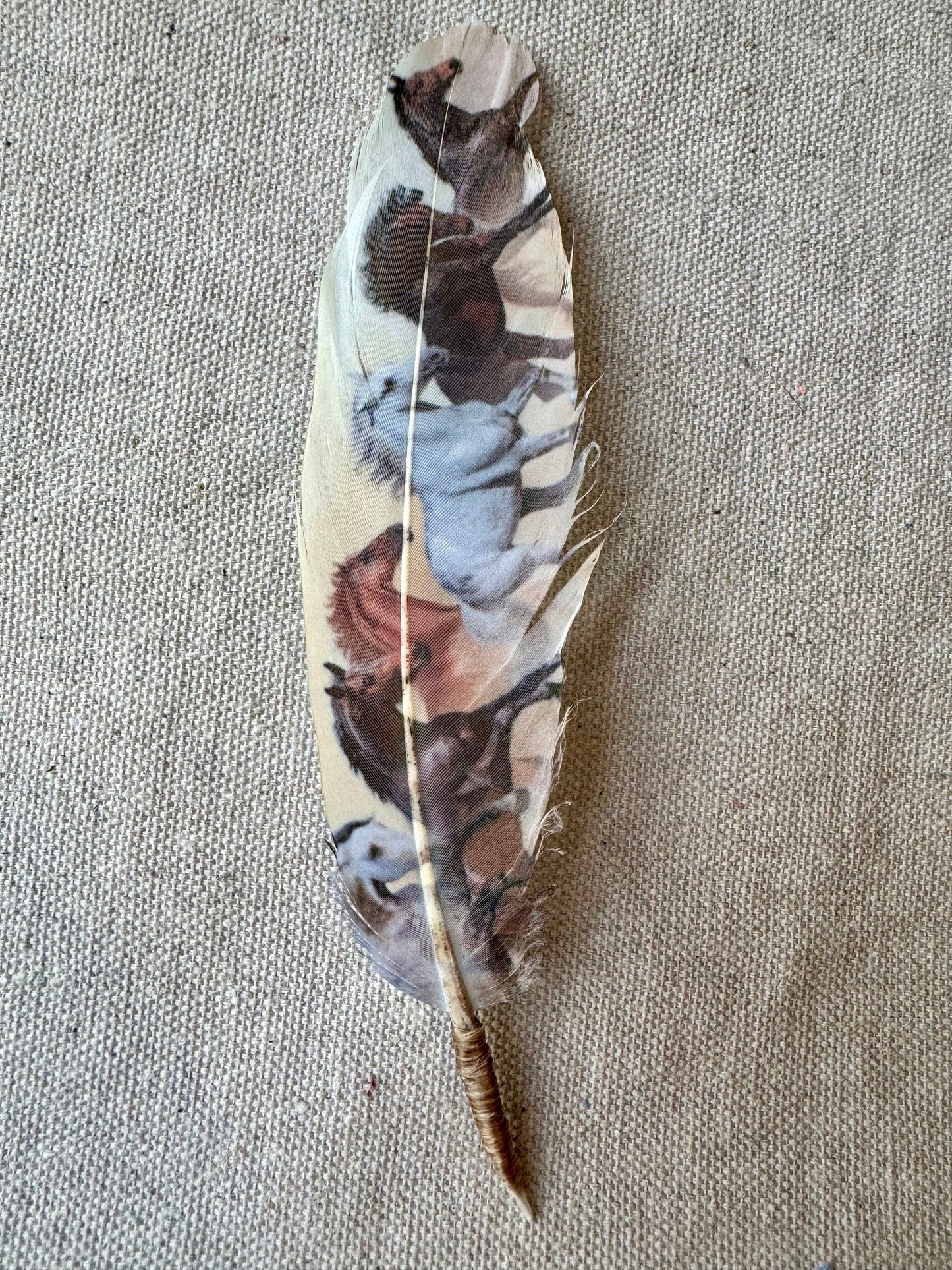 Cream Wild Horses Hat Feather