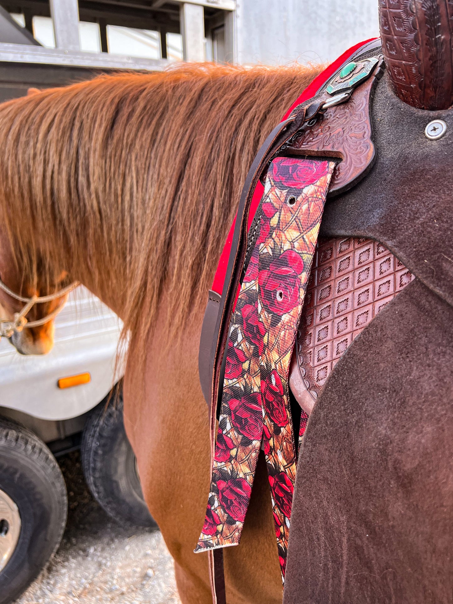 Beauty on a Beast Cinch Strap Set