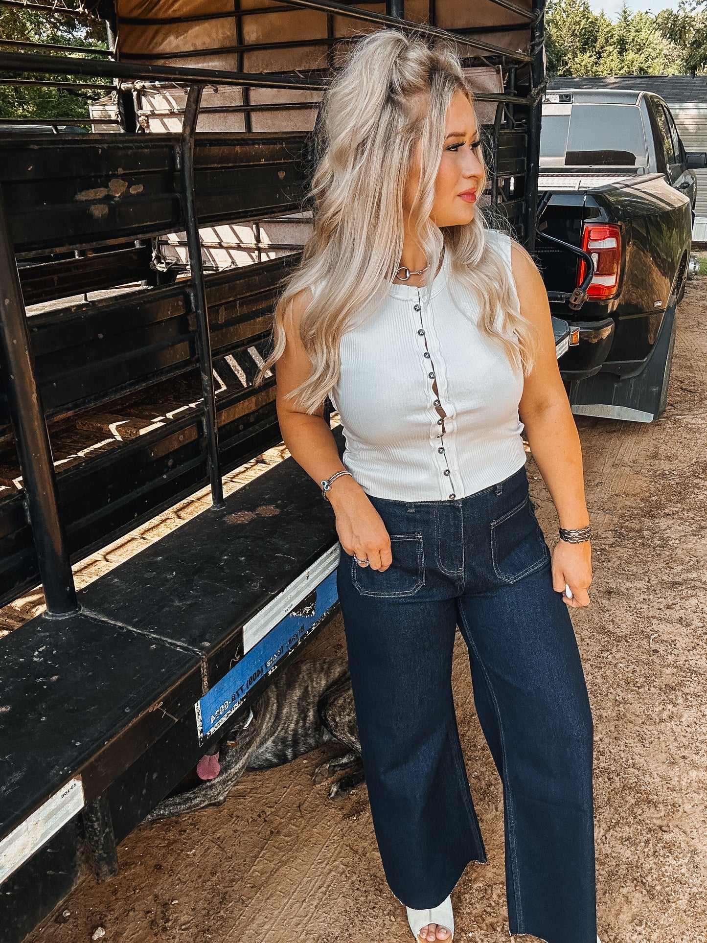 The Shannon Top